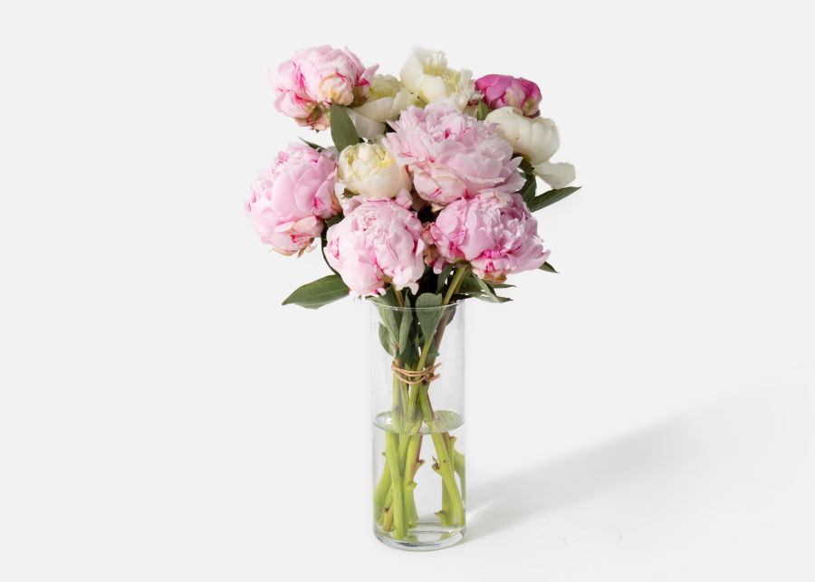 The Peony » Send Flower Bouquets UrbanStems Flower Delivery